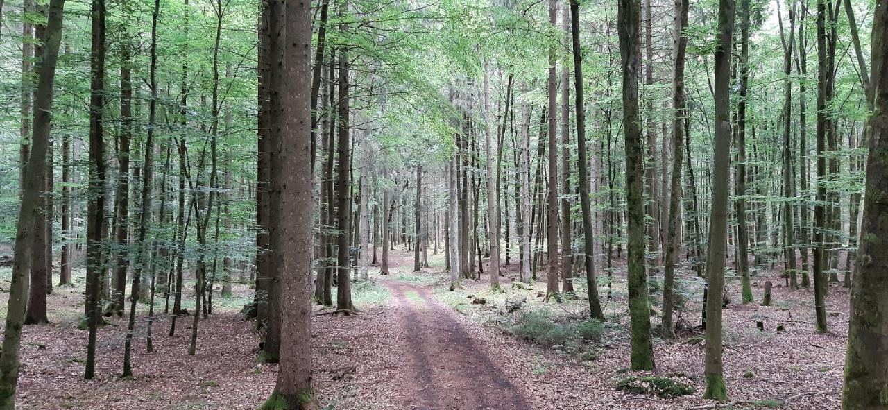 Ferienwohnung Mohrs Mehren  Esterno foto